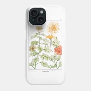 Chrysanthemum (1896) Phone Case