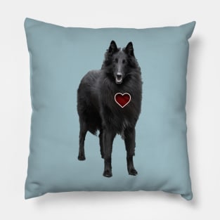 Belgian shepheart Pillow