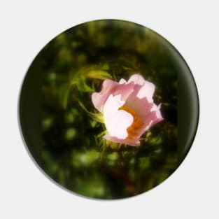 old-fashioned roses by Fox Creek & Columbia River 8 Pin