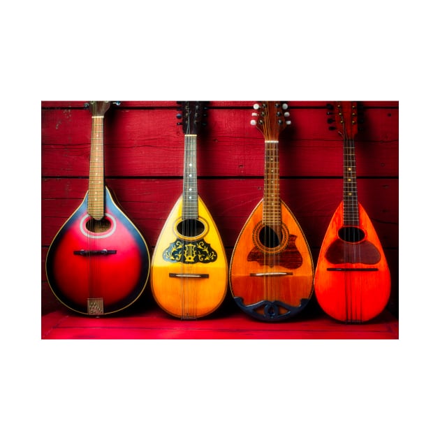 Four Old Mandolins by photogarry