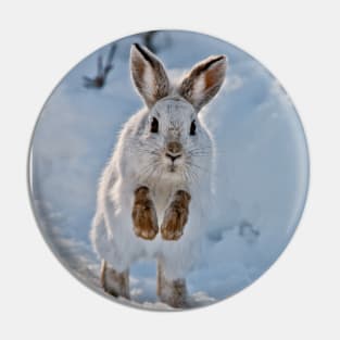 Snow Shoe Hare Pin