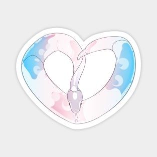 Ball Python Heart (Trans Pride Design) Magnet