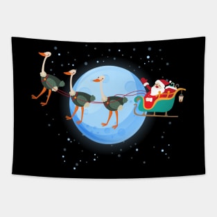 Santa Claus Riding ostrich Tapestry