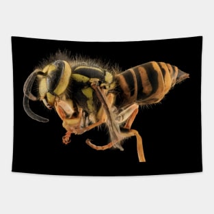 Stunning Macro Photography. Tapestry
