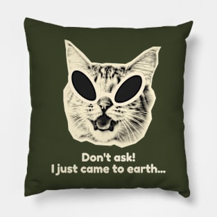 Don't Ask! I just came to earth... Pillow