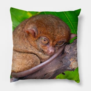 Tarsier, Bohol, Philippines Pillow