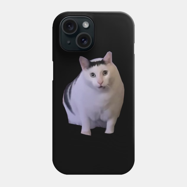 Huh Cat Meme Phone Case by LaroyaloTees