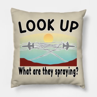 CLIMATE CHANGE BEGAN AS WEATHER MODIFICATION IN THE 1930s AND EVOLVED INTO GEOENGINEERING Pillow