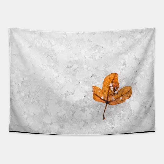 Autumn Leaf on Snow Tapestry by SeaAndLight