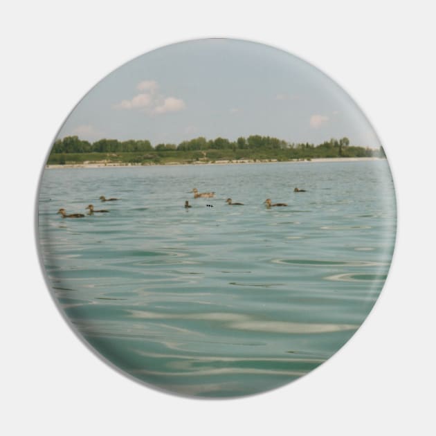 Ducks in a lake Pin by HFGJewels