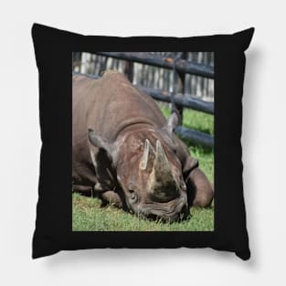 Black Rhino Pillow