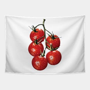 TOMATO Tapestry