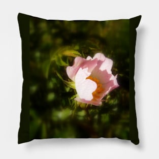 old-fashioned roses by Fox Creek & Columbia River 8 Pillow