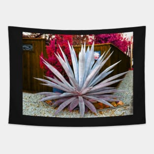 The Agave Tapestry