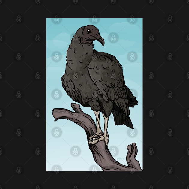 Black Vulture by eelregularity