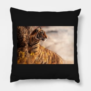 Bengal tiger Pillow