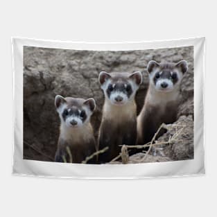 Black-Footed Ferret Tapestry