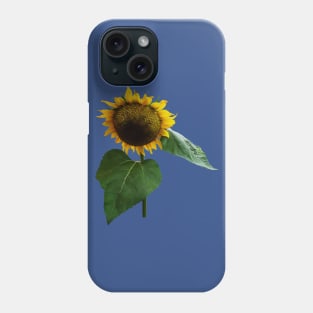 Sunflowers - Bowing Sunflower Phone Case