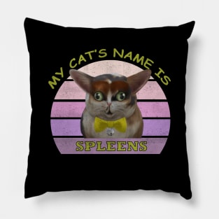 my cats name is spleens Pillow