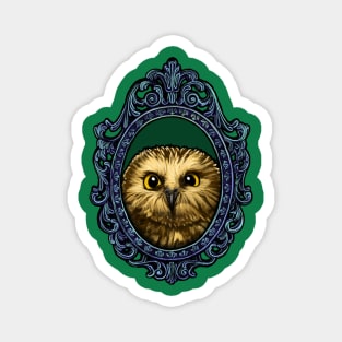 Bird Cameo: Pygmy Owl (Fiercely Adorable) Magnet