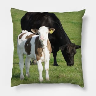 Moover and Milkshaker Pillow