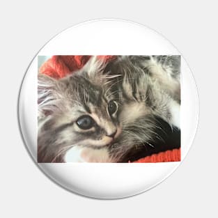 Kitten grey by Suzanne Beasley Pin