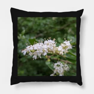 Tiny White Tree Flowers With an Ant Photographic Image Pillow