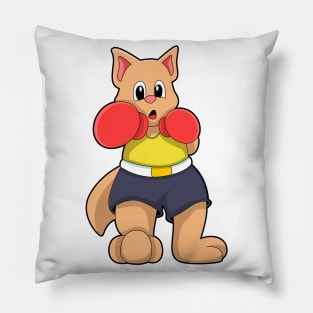 Cat as Boxer at Boxing Pillow