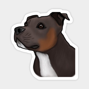 Cute Staffordshire Bull Terrier Drawing Magnet