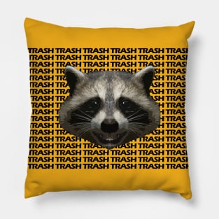 Raccoon Trash Pillow