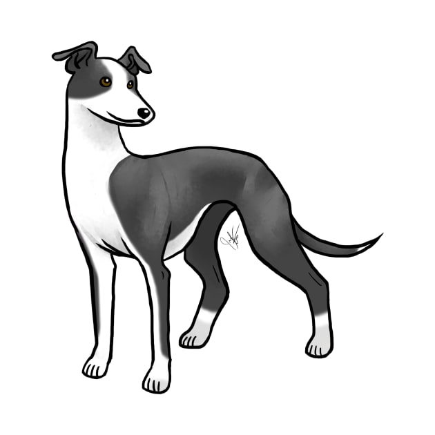 Dog - Whippet - Black and White by Jen's Dogs Custom Gifts and Designs