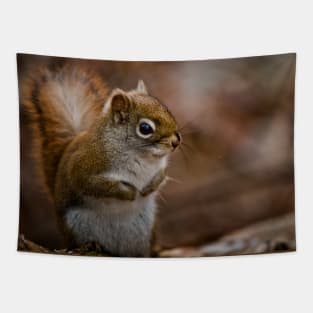 Red Squirrel Tapestry