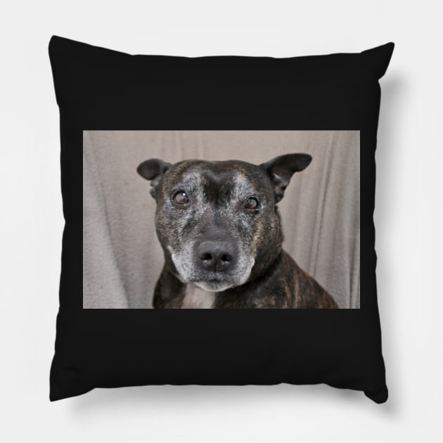 Suggs Pillow by Ladymoose