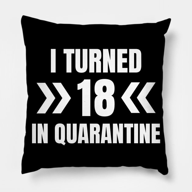 I Turned 18 In Quarantine Pillow by LunaMay