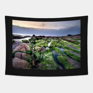 GREEN MOSS ON THE ROCKS DESIGN Tapestry