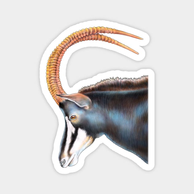 Sable Antelope Magnet by Tim Jeffs Art
