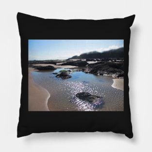 Rock Pool Perfection Pillow