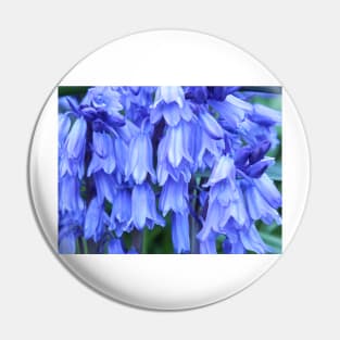 Bluebells Pin