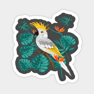 Colorful Bird in nature Magnet