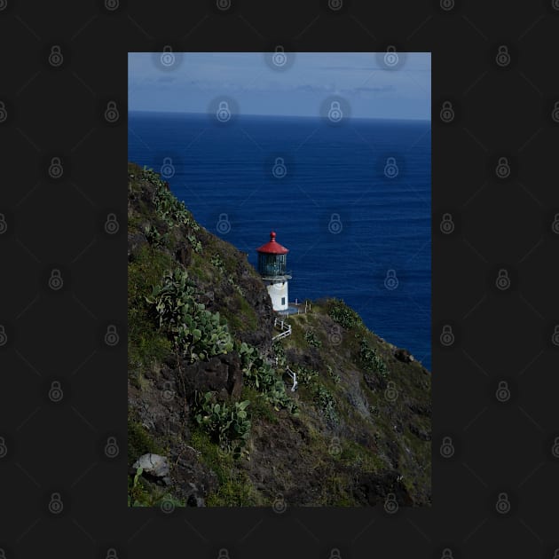 Lighthouse at Makapu'u Point, Oahu by seacucumber