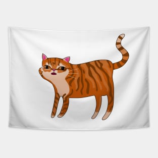 Goofy Orange Tabby Cat Tapestry