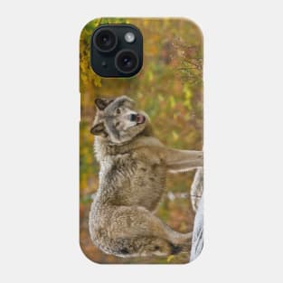 Gray Wolf Phone Case