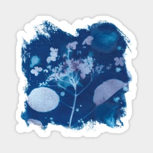 Cyanotype sunprint hydrangea indigo blue Magnet