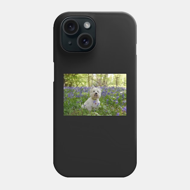 Westie in the bluebell woods Phone Case by princess-pirate