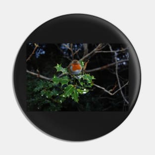 Holly Robin Pin