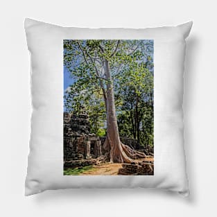 Giant Banyan Tree at Banteay Kdei Pillow