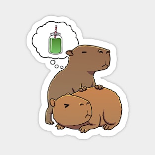 Capybara thirsty for Green juice smoothie Magnet