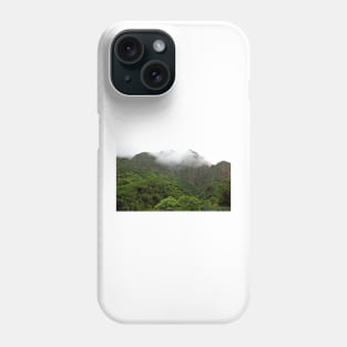 Iao Valley State Park Study 5 Phone Case