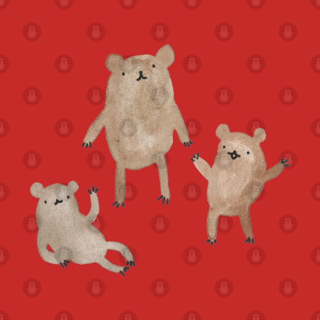 Three Bears by Sophie Corrigan