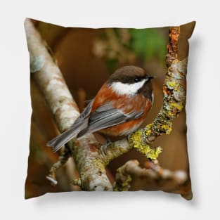Chestnut-Backed Chickadee on the Cherry Tree Pillow